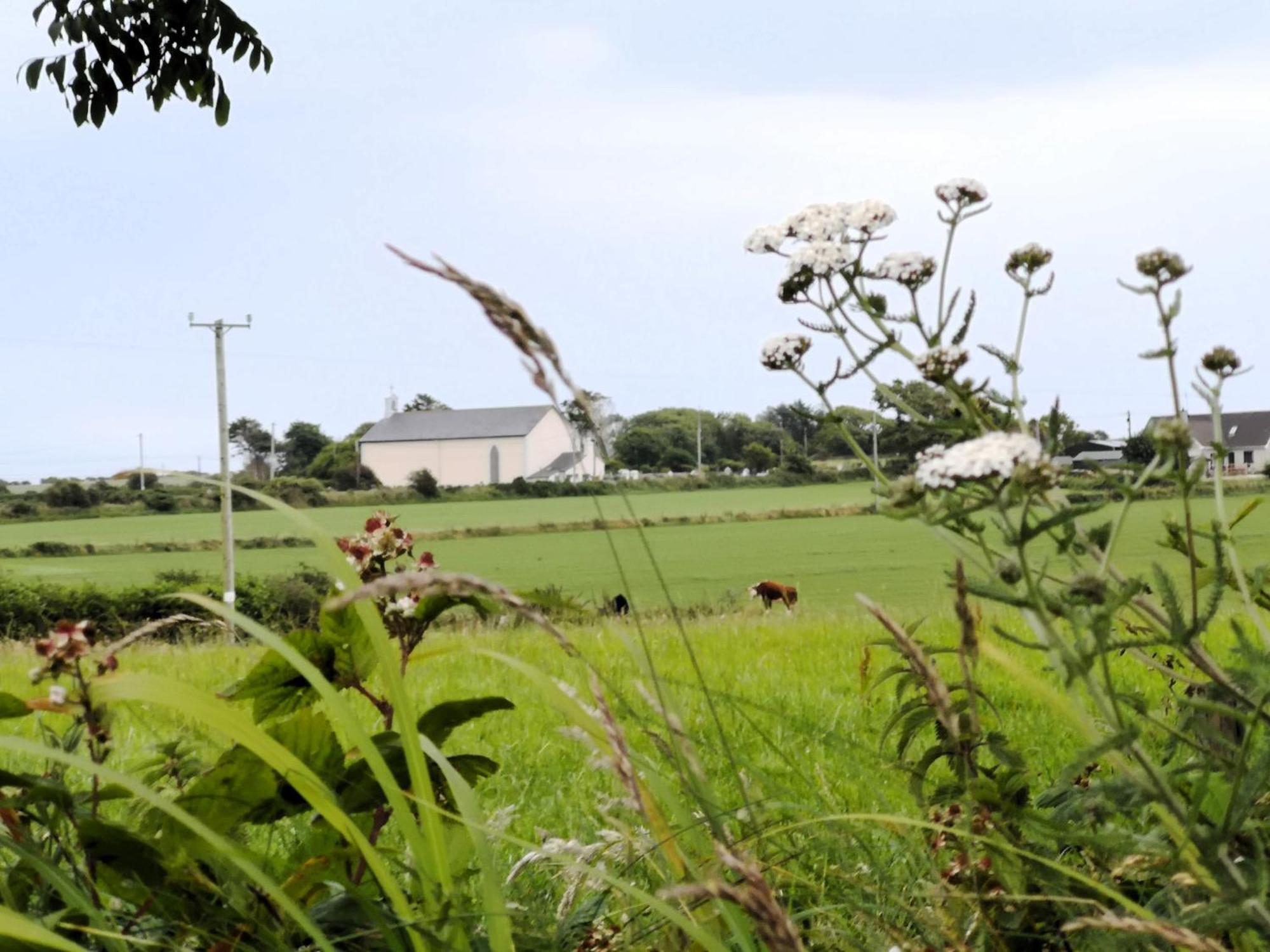Roaringwater Stay Skibbereen Exterior foto